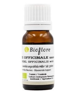 Fine lavender (Lavandula angustifolia) BIO, 10 ml